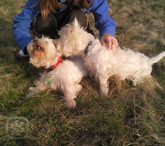 Tessie a Max